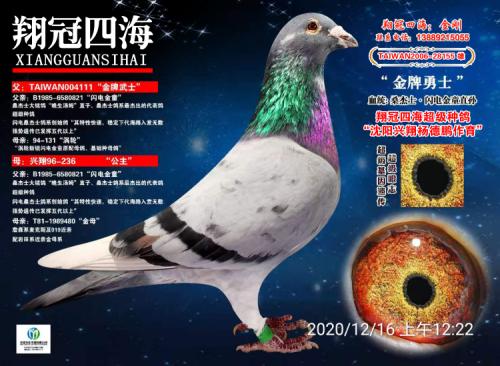 ������ʿ