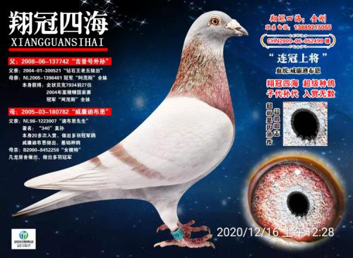 �����Ͻ�