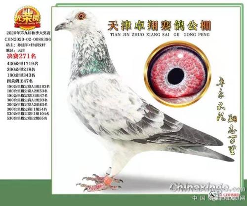 �԰�*������Ӱ