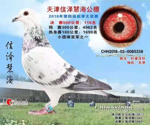 �԰�*������Ӱ