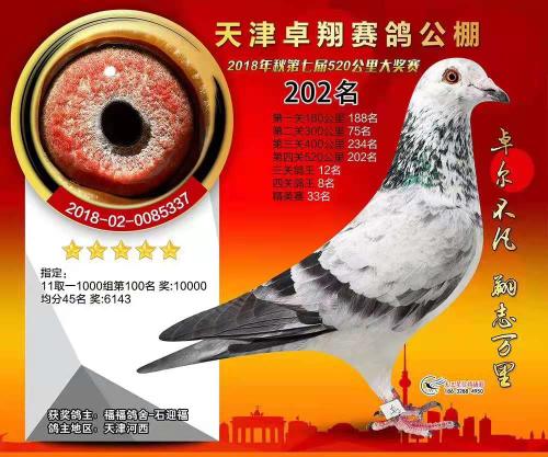 �԰�*������Ӱ