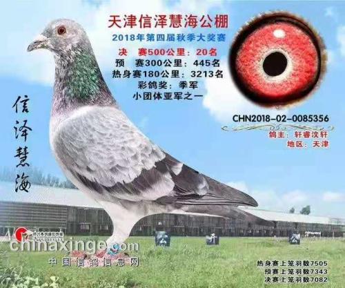 �԰�*������Ӱ