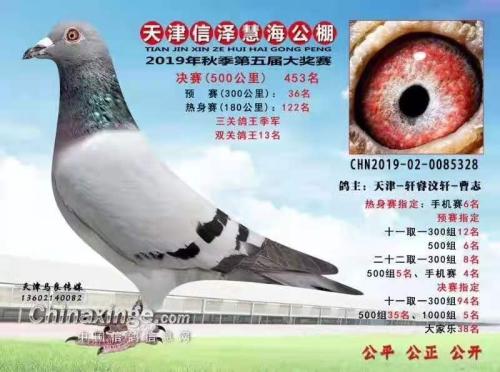 ����*����