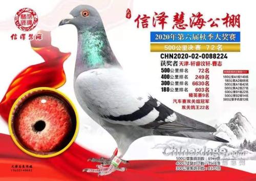 ����*����