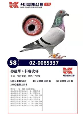 �԰�*������Ӱ