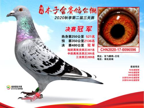 ³���������