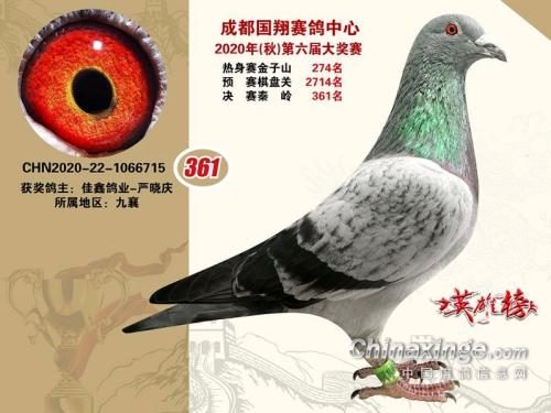 20������蹫�����361��