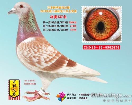 ������ֱŮ670