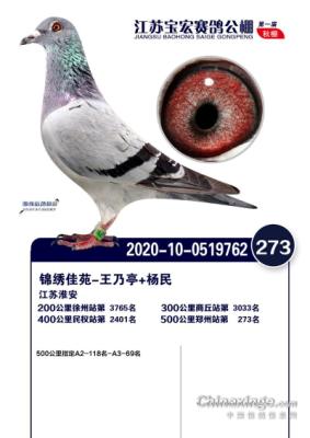 ���Ǻ�ֱ��762