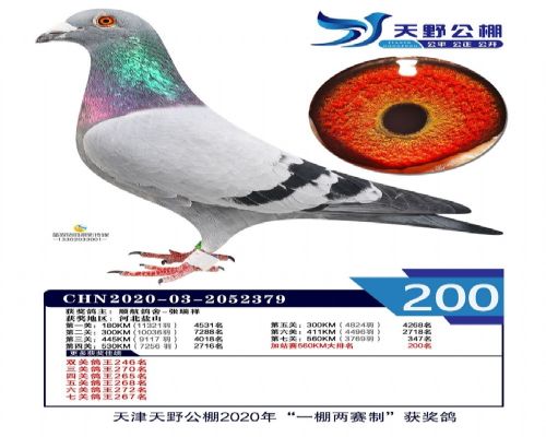 �ϰ����Ӵ�