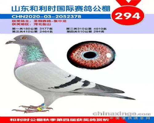 �ϰ����Ӵ�