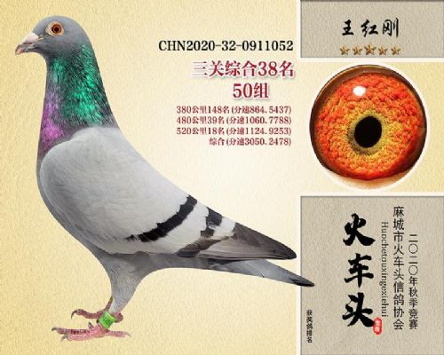 2020�������38��