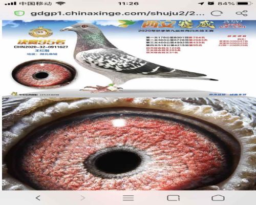 2020��������������95��