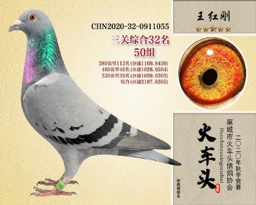 2020��������ۺ�32��