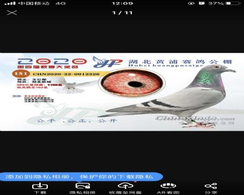 2020����־���151��