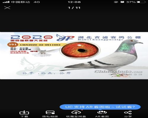 2020����ֹ������391��