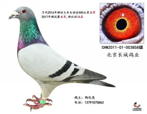 �������Ǹ�ҵ