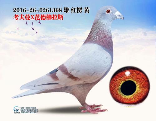 �������𽱸�