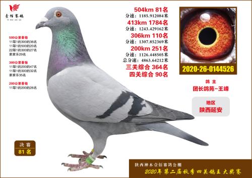 ��ľҼ��81��