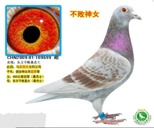 ����ֱ��