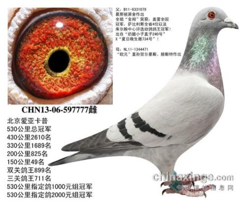 ����ֱ��