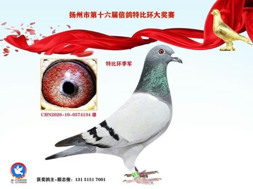 �ھ�֮���رȼ��������ھ�