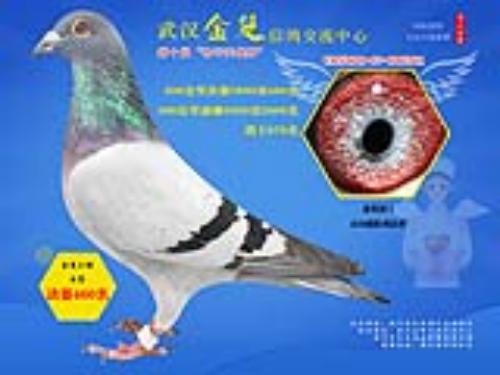 501��³��ֱ�