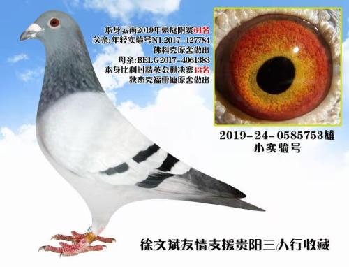 2019��ͥ������64��