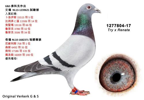 ��ƿ�ԭ������