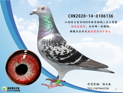 2020�����ز����ܹھ�