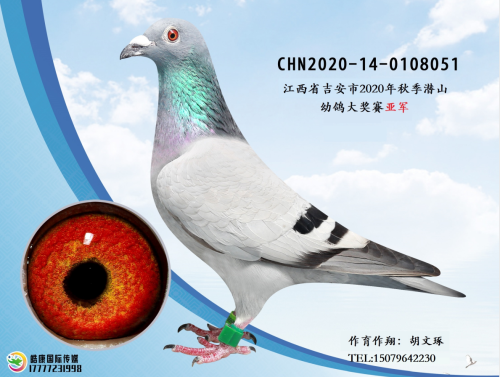 �����Ǿ���ץɨ���ʧ�ھ�