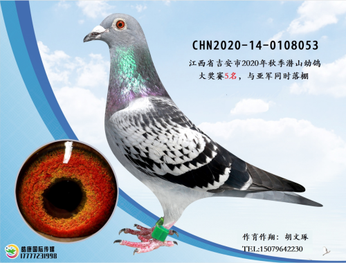 ����5����ץɨ�����Ǿ�ͬ��