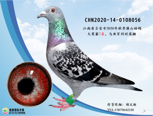 ����7����ץɨ�����Ǿ�ͬ��