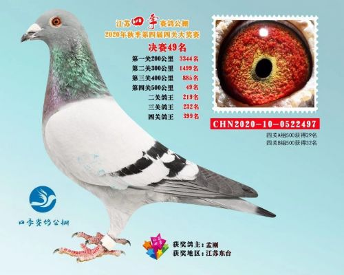 2020���ļ�����49��