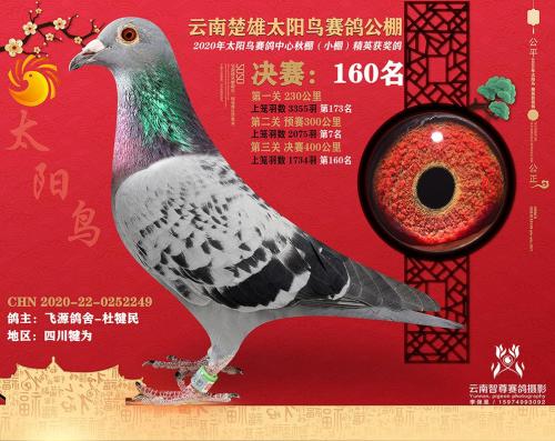 2020�＾����񽱸�