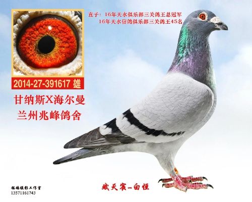 �ƽ������