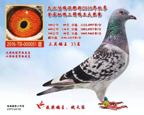 ���Ῠ/���˹/ɣ��ʿ