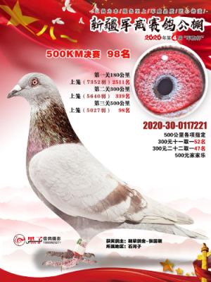 2020���½���������98��