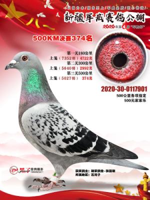 2020���½���������374��