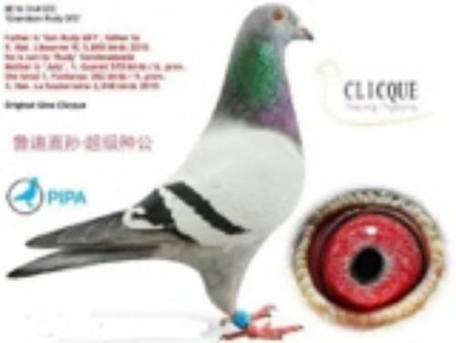 ��������/³��ֱ��