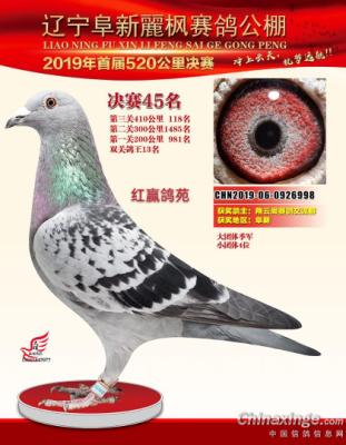 ����45��