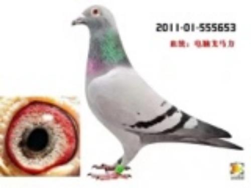 ���Ը�����