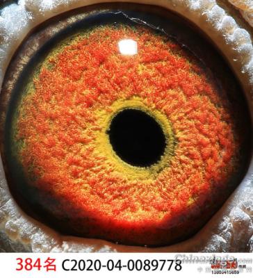 0089778