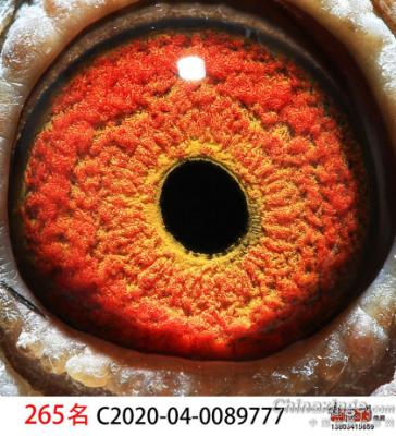 0089777
