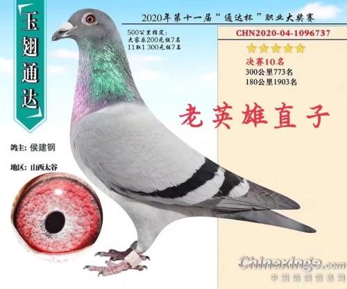 ��Ӣ��ֱ��