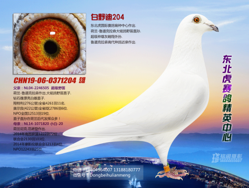 ³����