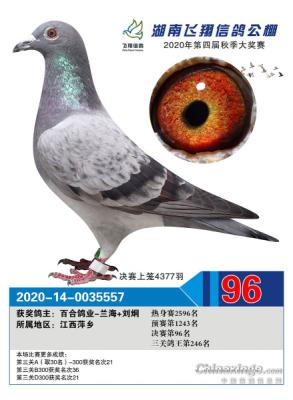 �����Ž���ֱ��Ů