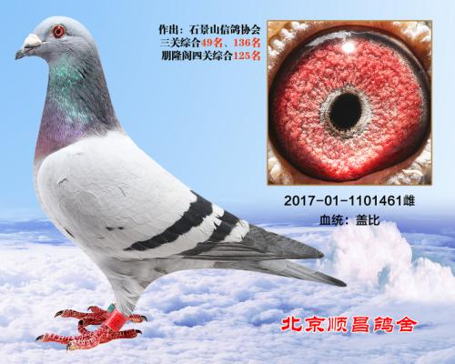 �ƽ����1-��