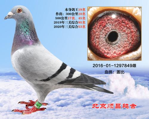 �ƽ����2-��