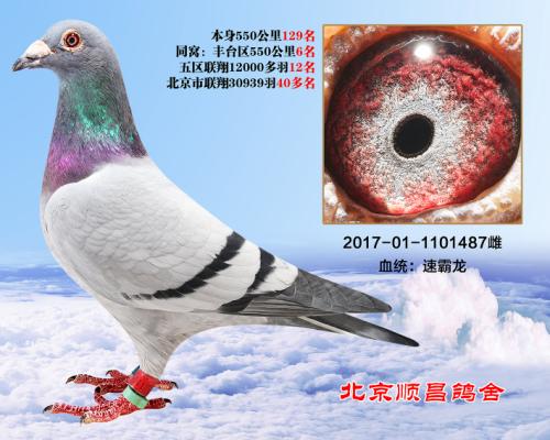 ͬ�ѽ���